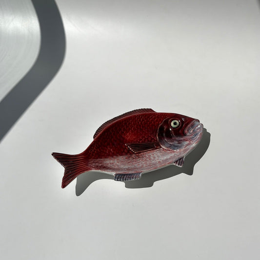 Peixe Vermelho