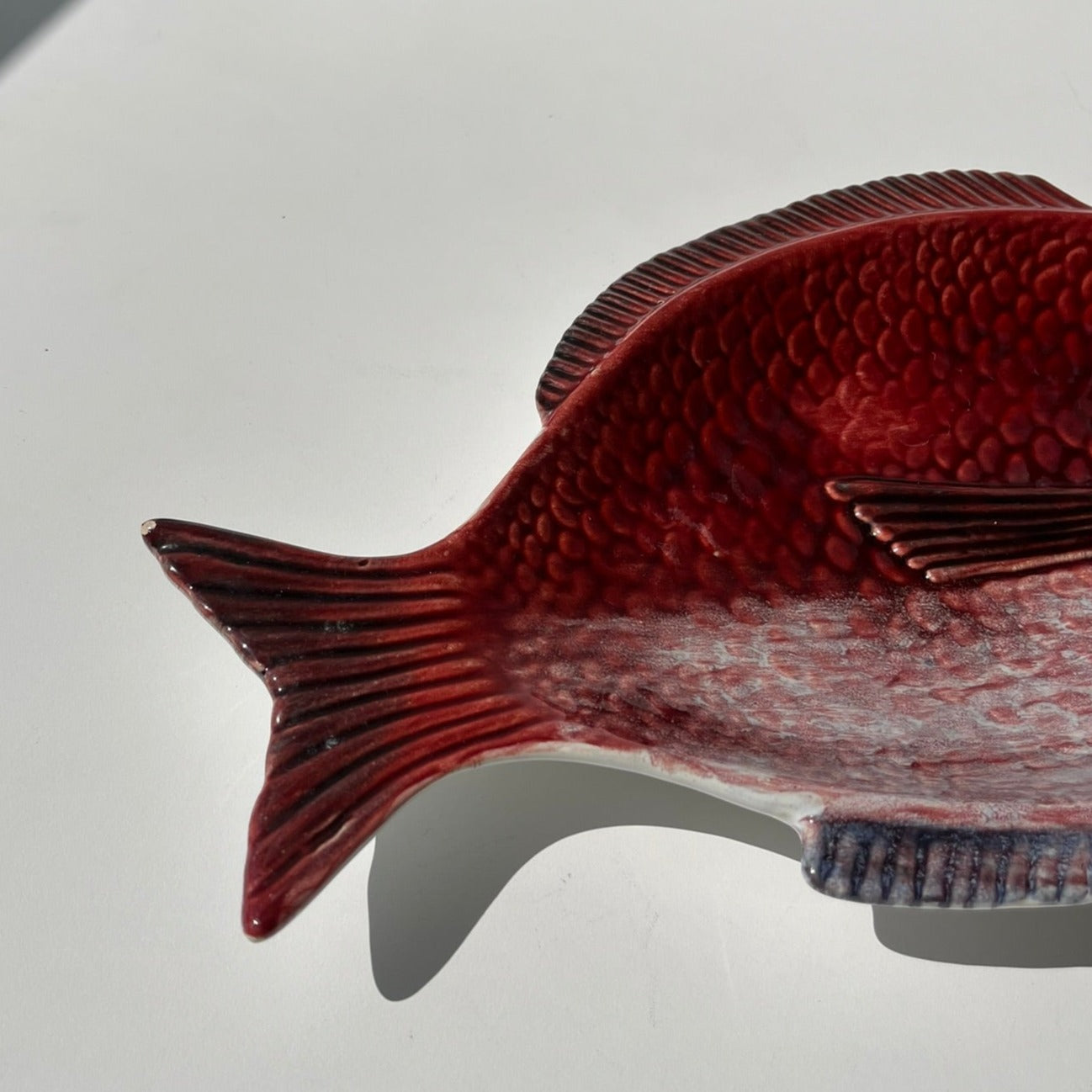 Peixe Vermelho