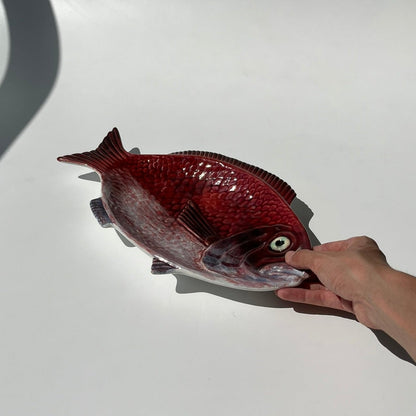 Peixe Vermelho