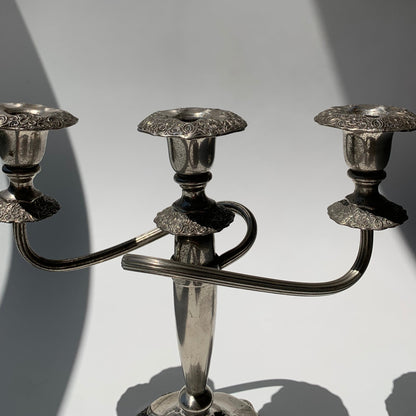 Candelabro Retorcido